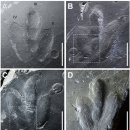 진주 가진리 새발자국과 공룡발자국 화석산지 이미지