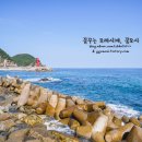 헌화로 티스토리