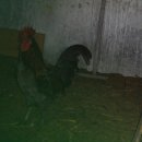 지인농장 이미지