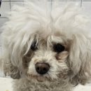 반자주 진해점 이미지