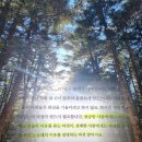 김경일 | 부의 심리학 책 후기 김경일 | 아직도 남 탓만 하고 있는 그대라면 추천 리뷰 핵심 요약