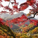 장성공원1 이미지