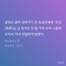 픽미픽미아이스새강점 | 1년짜리일상