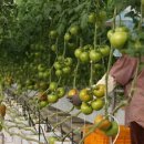 보성군쓰레기소각장 이미지