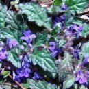 금창초등학교 이미지