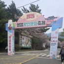 2026영암왕인문화축제 이미지