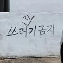 24年 8月 | 촬영도 하고 출근도 하고 몸보신도 하고 💭