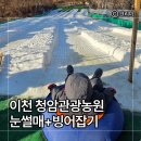 청암순대 | 5세 아이와 첫 눈썰매장|경기도 이천 청암관광농원 눈썰매 빙어잡기 체험 꿀팁