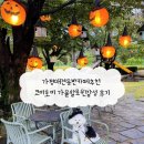 정원설악IC주유소 | 가평애견동반카페추천 코미호미 가을할로윈감성 후기