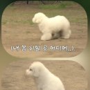 뽀송 이미지