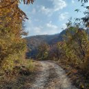 고종시마실길 이미지