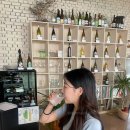 대전광역시립미술관 네이버블로그