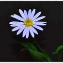 염창초등학교 이미지