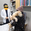 미사서울동물병원 이미지