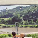 다정한 가 이미지