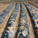 기창농장 이미지