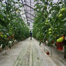 서경들 마을 이미지