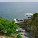 이기대 동생말 이미지