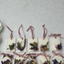 불은초등학교 이미지