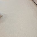 포근하개 | 강아지 미끄럼방지 롤매트 반려견 거실매트 펫노리터 셀프시공 후기