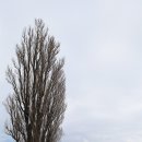 홋카이도 이미지