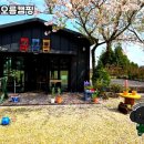 골체오름캠핑