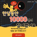 팔일오 이미지