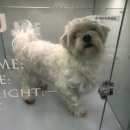 고리울초등학교 이미지