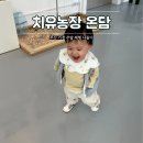 다들바위 치유농장 | 돌아기랑 갈만한 곳, 부산 기장 주말 나들이 체험 치유농장 온담 후기