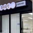 포미포밍 | 의정부애견미용 후기 좋은 비숑 미용 잘하는 곳 포미포밍
