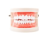 비앤비치과의원 이미지