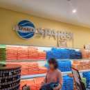 스파렉스 연수 이미지