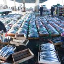 형도수산물 이미지