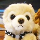 노블도그 이미지