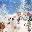 똘똘하개 이미지