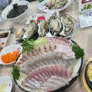 박영철 사시미 이미지