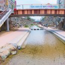 심곡천공원 이미지