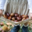 알프스식품(주) 이미지