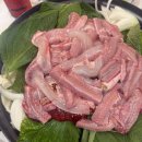 꼼생꼼사 - 성남시 분당구 | 꼼생꼼사
