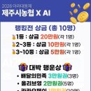 강동농협 산지유통센터 | [제주시 농협 서포터즈 2기] 5월 활동 후기