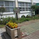 순천동산여자중학교 이미지