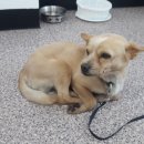 진남상가길 이미지