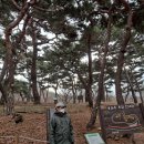 노적봉 도당지 이미지