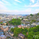 ANA메디컬 이미지