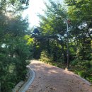 남산근린공원 화장실 이미지