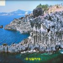 제주중문대포해안주상절리대 Daum카페