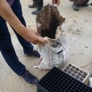 샛골농장 이미지