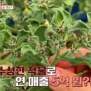 채소사는곳 이미지