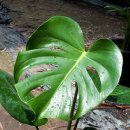 학이농장 이미지