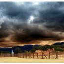 도담도담어린이집 이미지